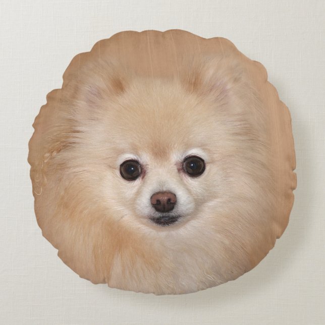 Pomeranian face round cushion (Front)