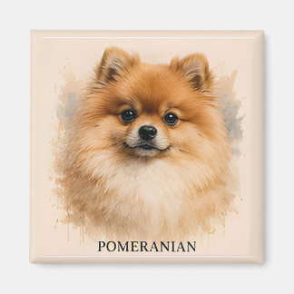 Pomeranian Fluffy Companion Dog Portrait Magnet