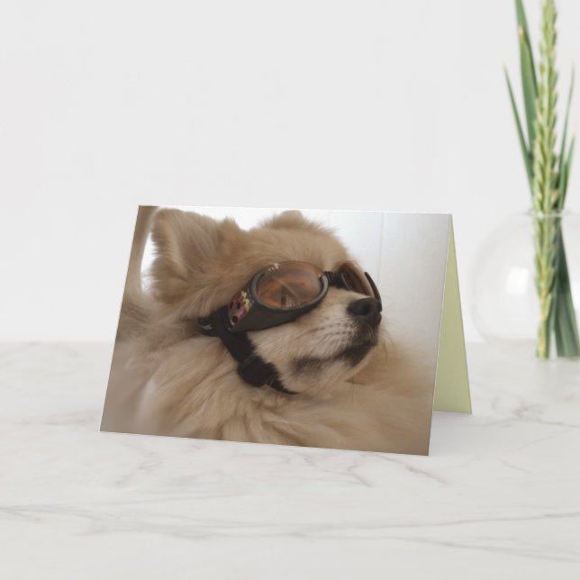 Pomeranian Friendship Card (Front)