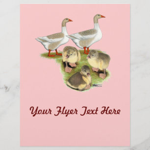Pomeranian Goose Family Flyer