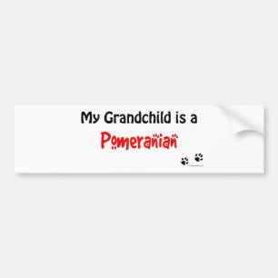 Pomeranian Grandchild Bumper Sticker