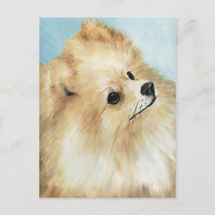 "Pomeranian Head Study Dog Art Postcard