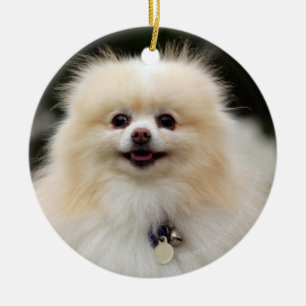 Pomeranian Headshot 1 Ceramic Tree Decoration
