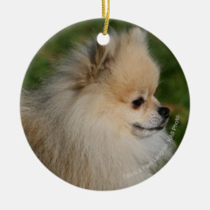 Pomeranian Headshot 2 Ceramic Ornament