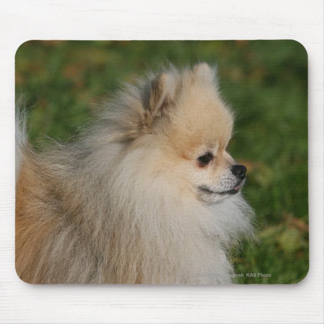 Pomeranian Headshot 2 Mouse Pad (Front)