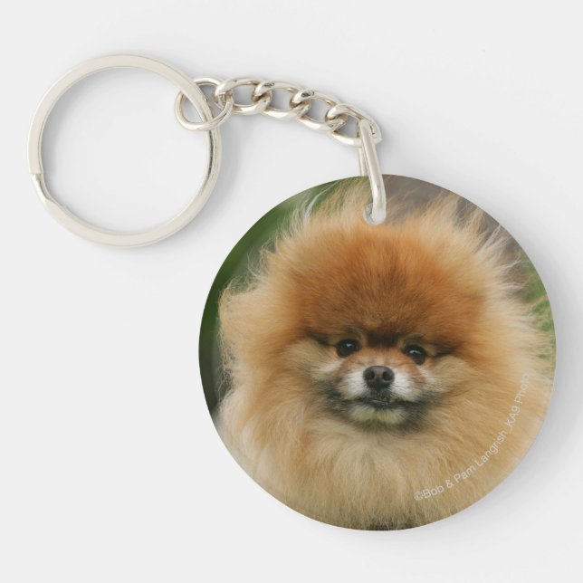 Pomeranian Headshot Looking at Camera Key Ring (Front)