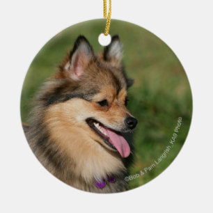 Pomeranian Headshot Panting Ceramic Ornament