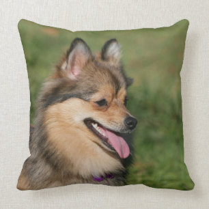 Pomeranian Headshot Panting Cushion