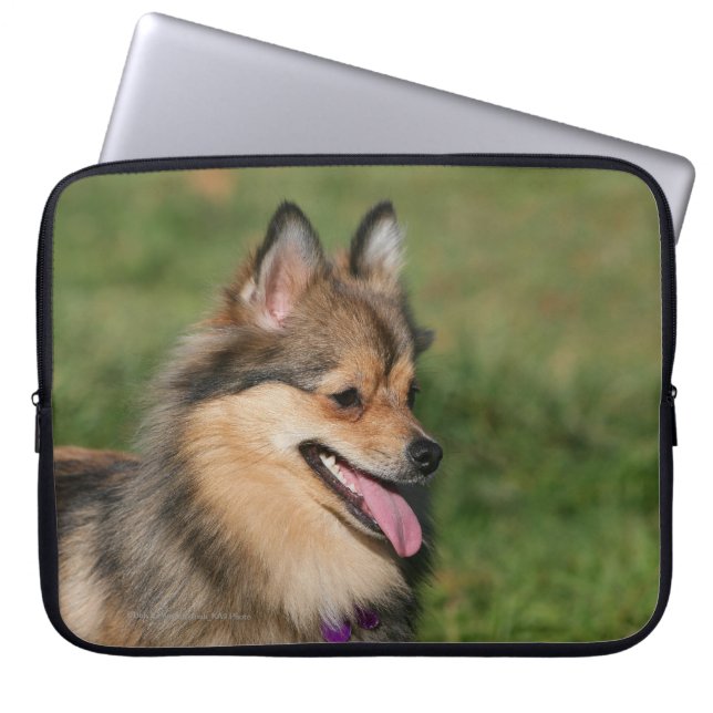 Pomeranian Headshot Panting Laptop Sleeve (Front)