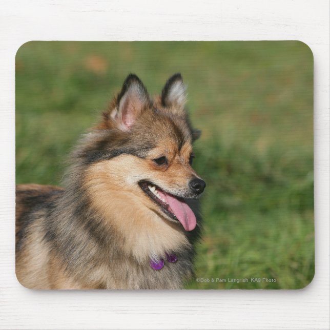 Pomeranian Headshot Panting Mouse Pad (Front)