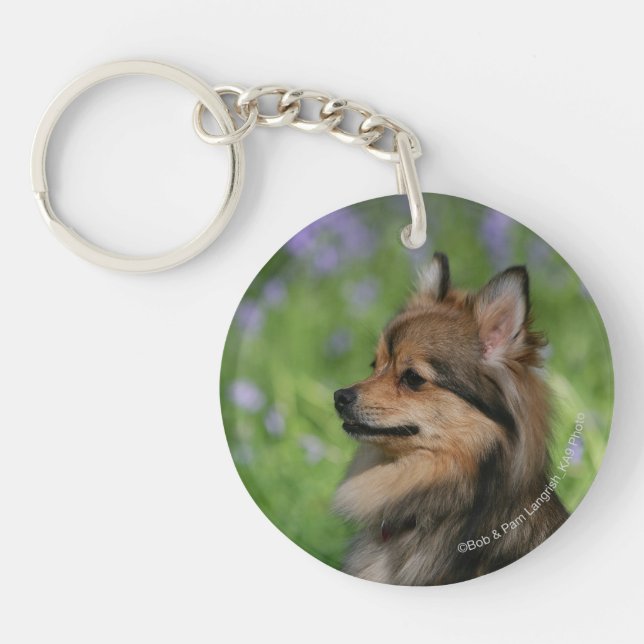 Pomeranian Headshot Sitting Key Ring (Front)