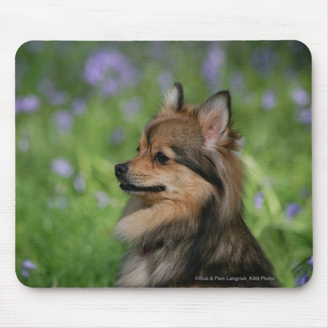 Pomeranian Headshot Sitting Mouse Pad (Front)