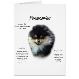 Pomeranian History Design