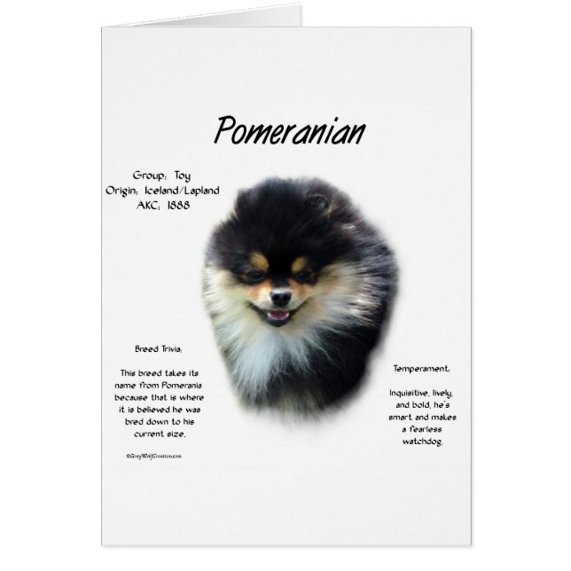 Pomeranian History Design (Front)