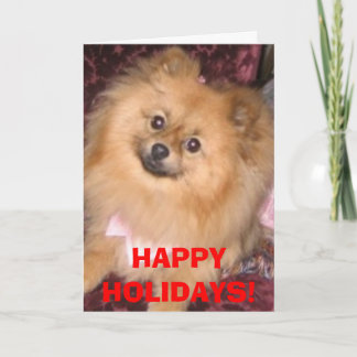 Pomeranian Holiday Card
