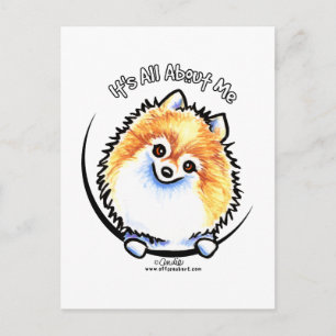 Pomeranian IAAM Postcard