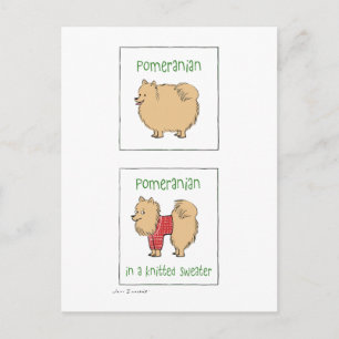 Pomeranian in a Knitted Sweater Postcard