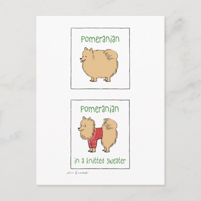 Pomeranian in a Knitted Sweater Postcard (Front)