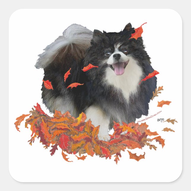 Pomeranian in Autumn Square Sticker (Front)