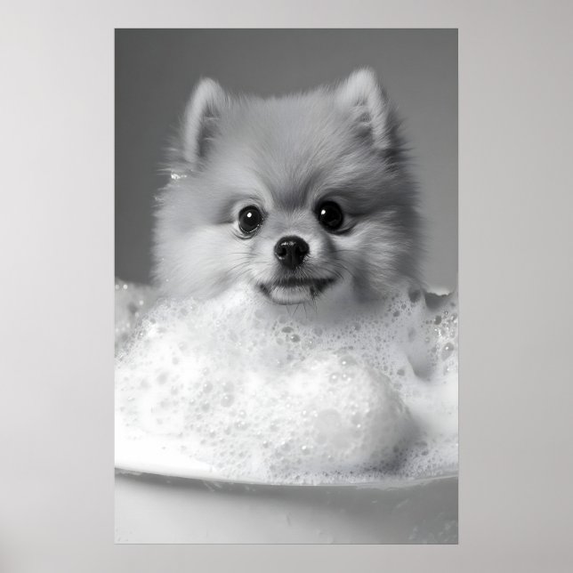 Pomeranian in Bubble Bath Print, Funny Dog Poster (Front)