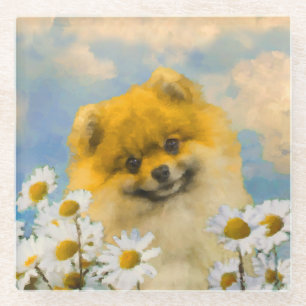 Pomeranian in Daisies Painting - Original Dog Art Glass Coaster