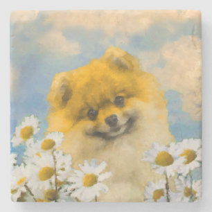 Pomeranian in Daisies Painting - Original Dog Art Stone Coaster