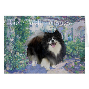 Pomeranian in Flower Garden