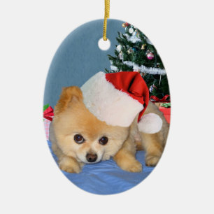 Pomeranian in Santa Hat Ornament