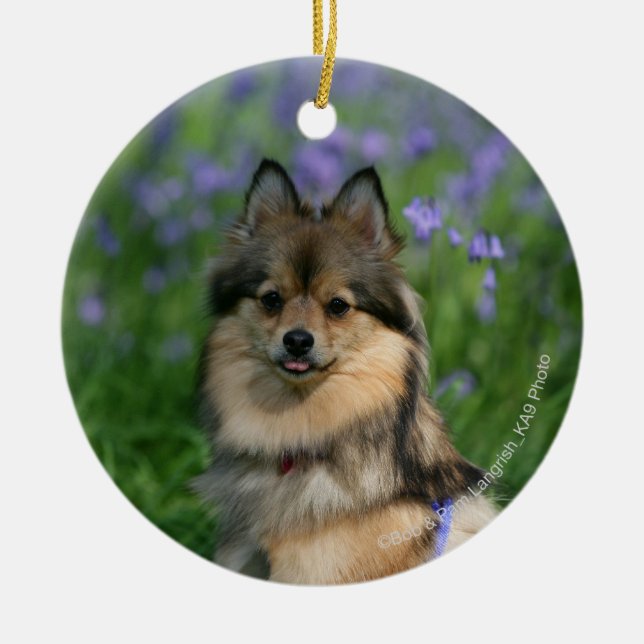 Pomeranian in the Grass Ceramic Ornament (Front)