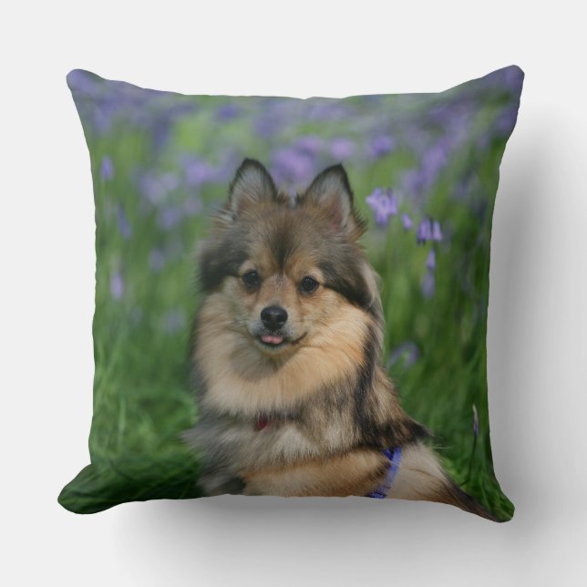 Pomeranian in the Grass Cushion (Front)