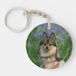 Pomeranian in the Grass Key Ring