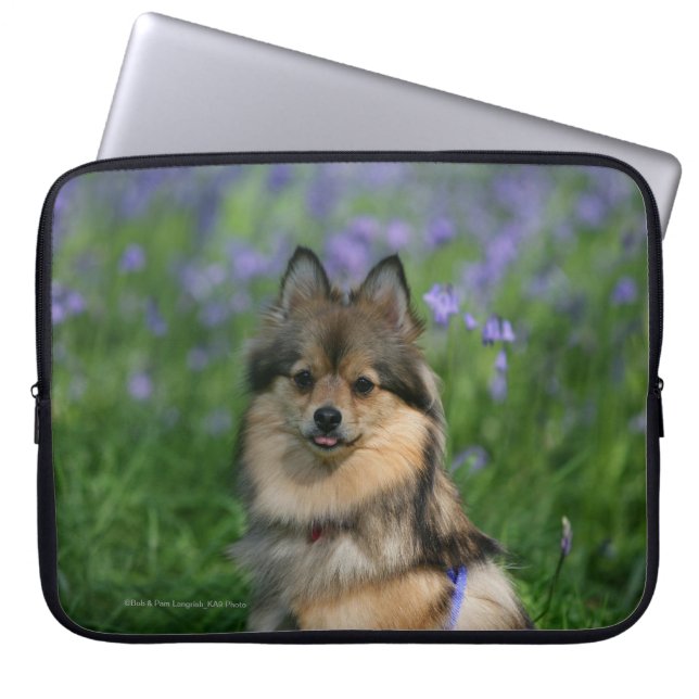Pomeranian in the Grass Laptop Sleeve (Front)