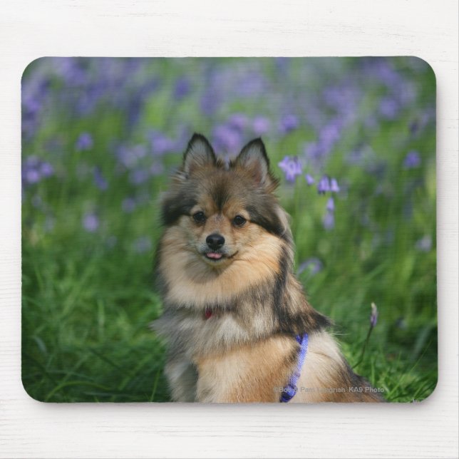 Pomeranian in the Grass Mouse Pad (Front)