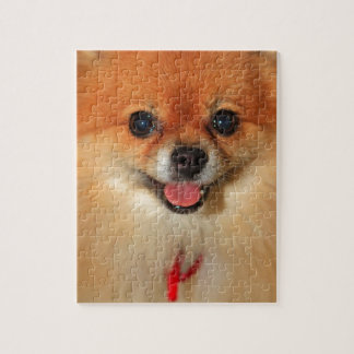 Pomeranian Jigsaw Puzzle
