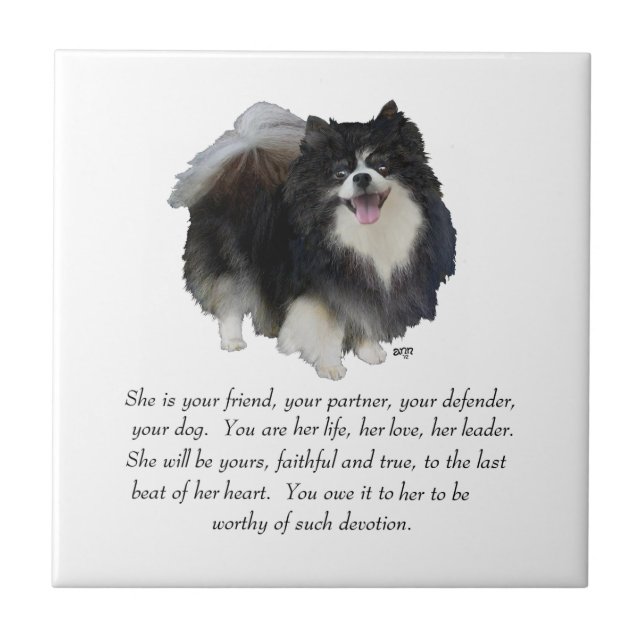 Pomeranian Keepsake Female Ceramic Tile (Front)