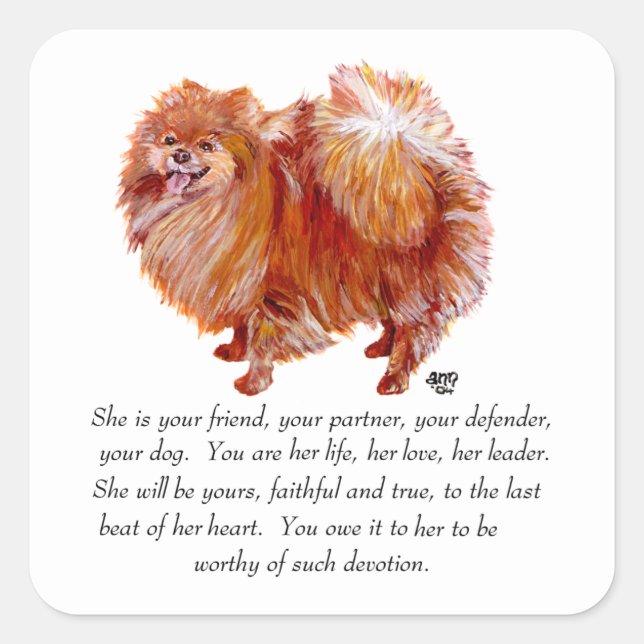 Pomeranian Keepsake Female Square Sticker (Front)
