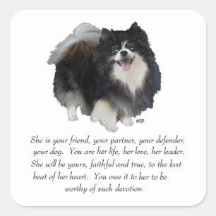 Pomeranian Keepsake Female Square Sticker