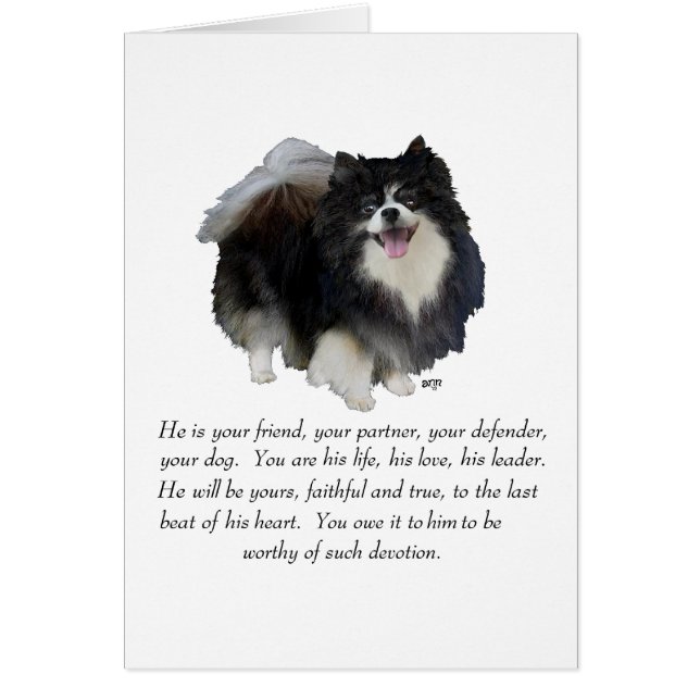 Pomeranian Keepsake Male (Front)