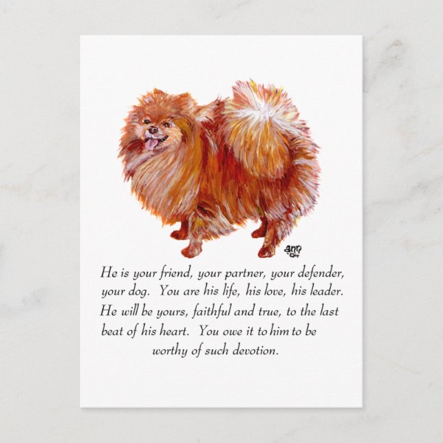 Pomeranian Keepsake Male Postcard (Front)