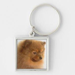 Pomeranian Key Ring