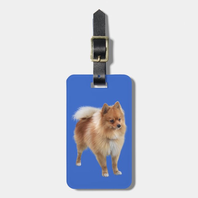 Pomeranian Luggage Tag (Front Vertical)