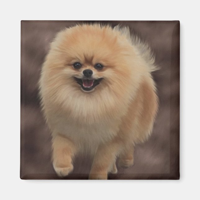 Pomeranian Magnet (Front)