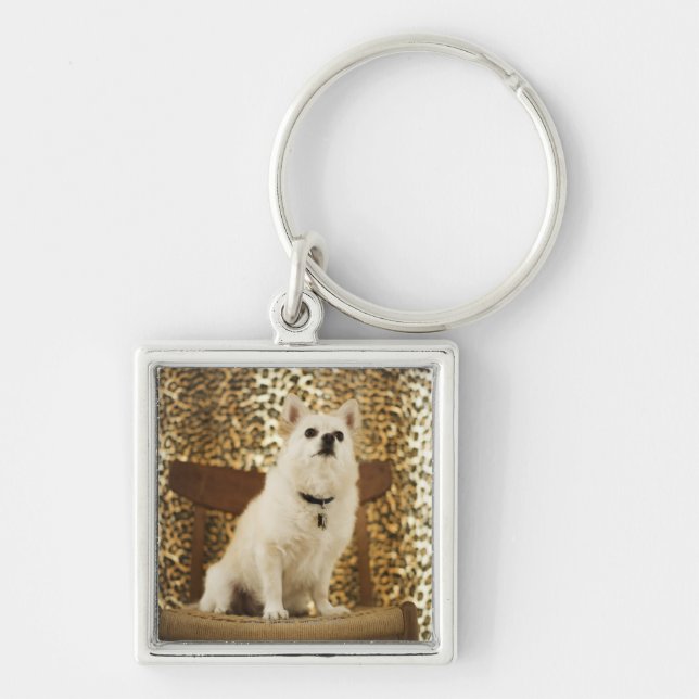 Pomeranian mix key ring (Front)