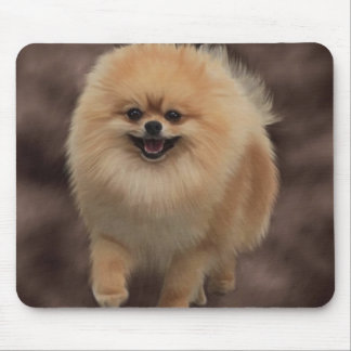 Pomeranian Mouse Pad