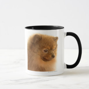 Pomeranian Mug