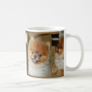 Pomeranian Mug