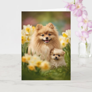 Pomeranian Mum Mother’s Day Love Card