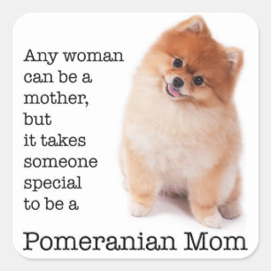 Pomeranian Mum Stickers