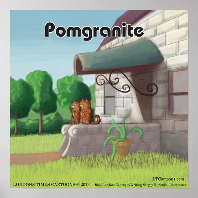 Pomeranian On Granite (PomGranite) Funny Poster (Front)