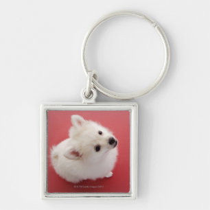 Pomeranian on the Red Carpet Key Ring
